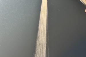 GALLERY-11